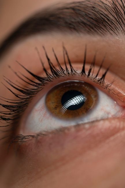 Lash Lift + Brow Lamination + Tint