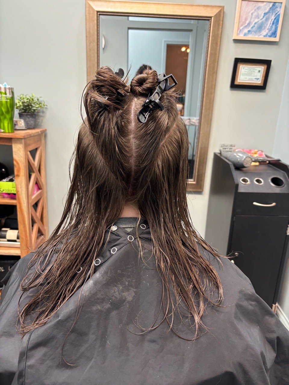 Brazillian Blowout w/ Gift