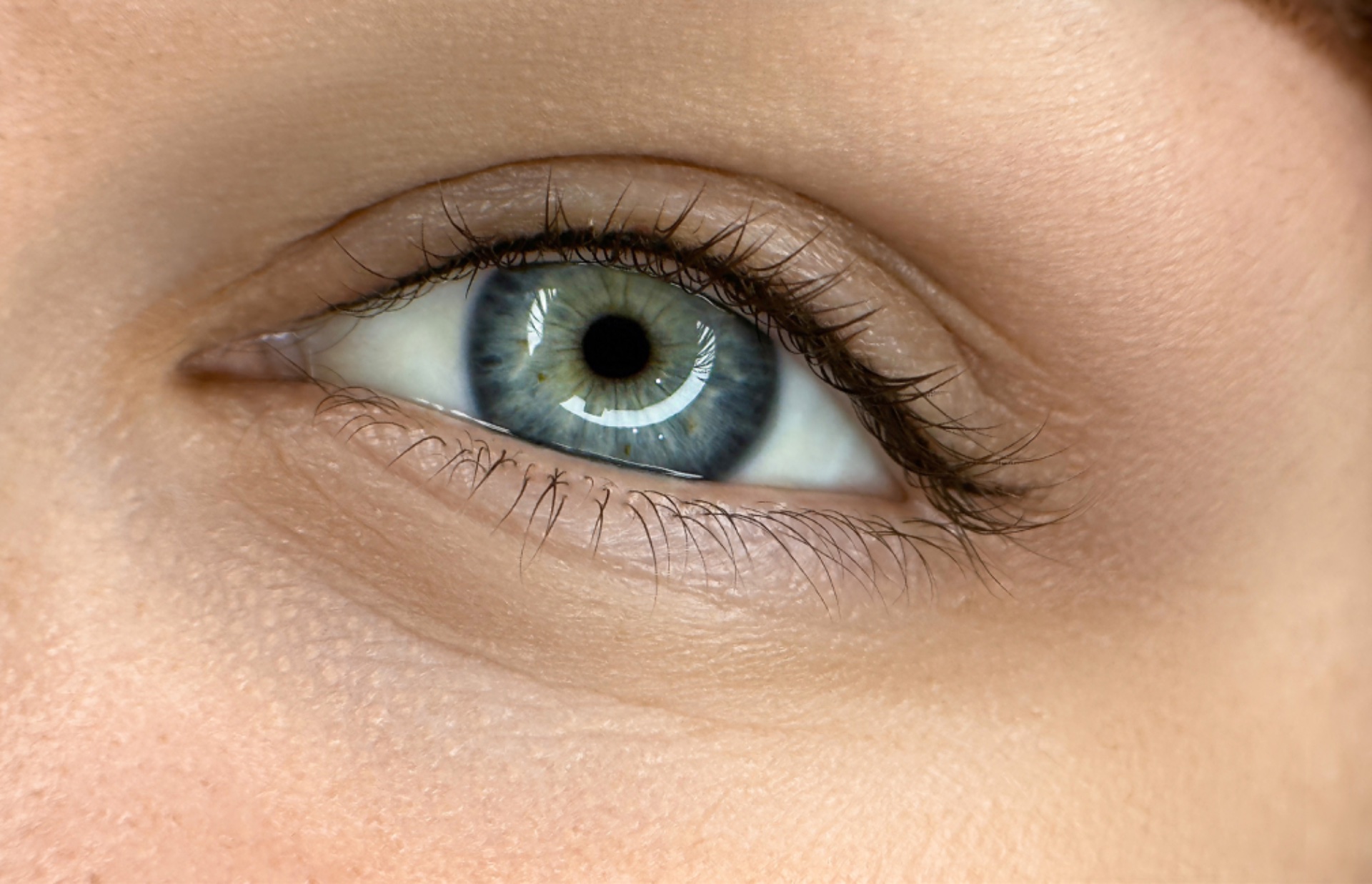 Permanent Eyeliner & Lash Line Enhancement – Loveland Guide image